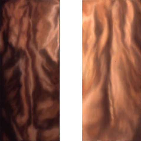 Skin Diptych (Maurice and Satoy)